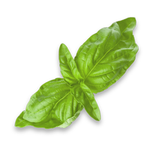 leaves_1.png leaves_1.png